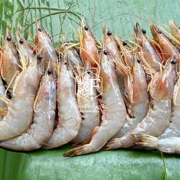 Sea White Prawn (41-50 pcs) (700 g) 明虾