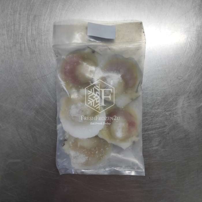 Half Shell Scallop L 9-10cm (500g) 大半壳带子