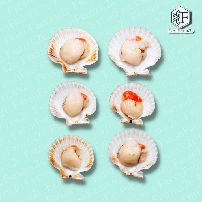 Half Shell Scallop L 9-10cm (500g) 大半壳带子