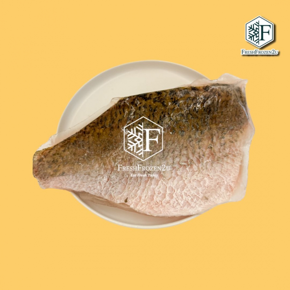 Siakap Fish Fillet 石甲鱼片 550g+-