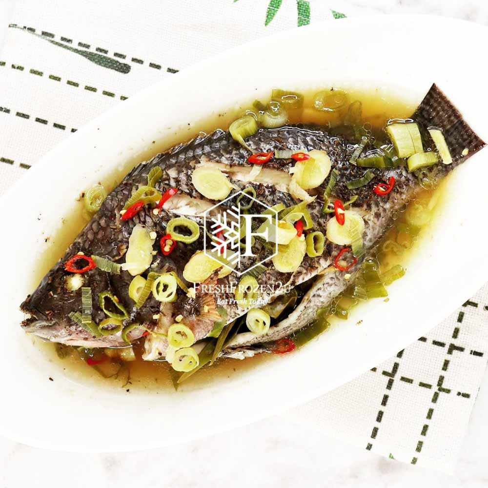 Fish Black Tilapia 黑非洲鱼 (700g+-)