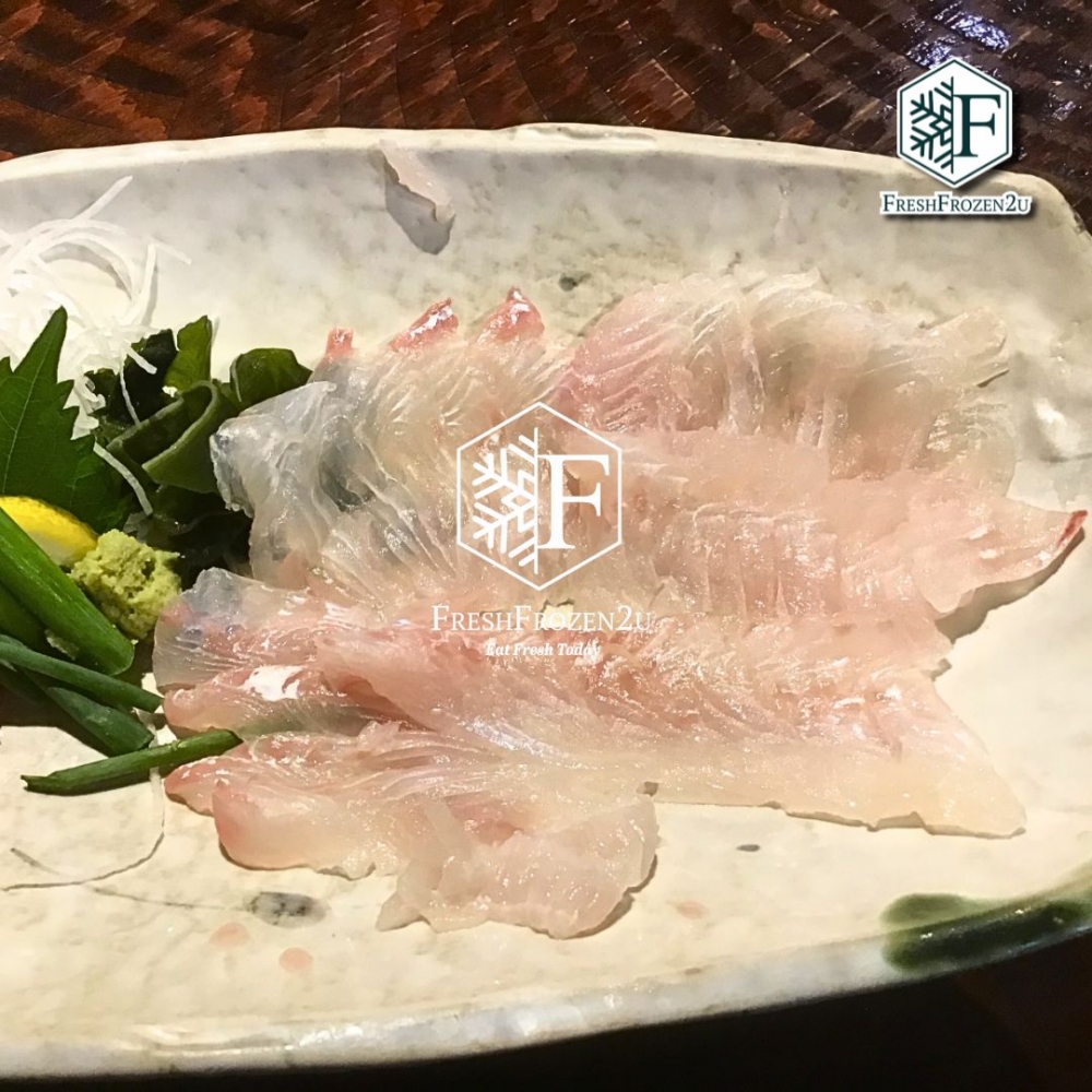 Fish Halibut Sashimi Slice 比目鱼刺身片 (8g+-/20pcs)