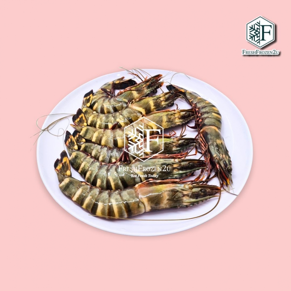 Sea Tiger Prawn 16/20 (700g) 野生老虎虾