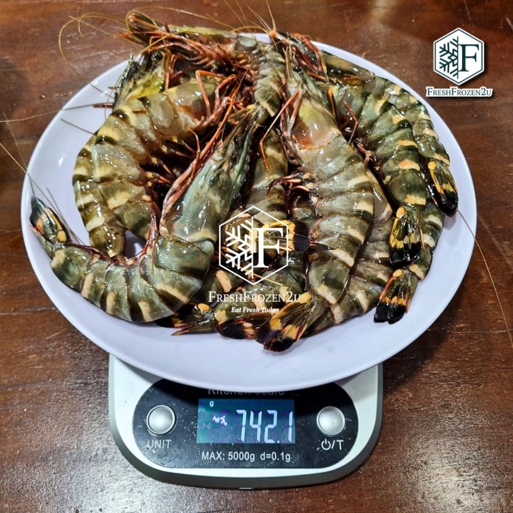 Sea Tiger Prawn 16/20 (700g) 野生老虎虾